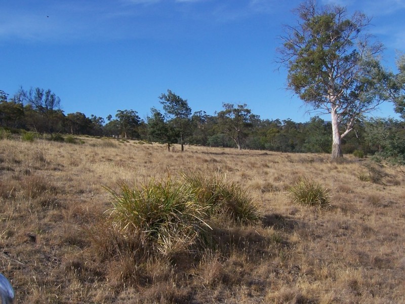 00 Collins Cap Road, Molesworth TAS 7140