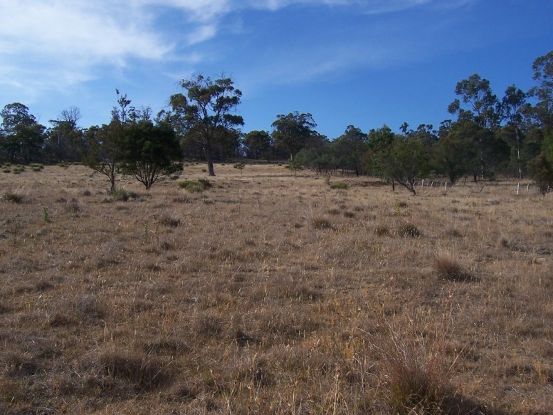 00 Collins Cap Road, Molesworth TAS 7140