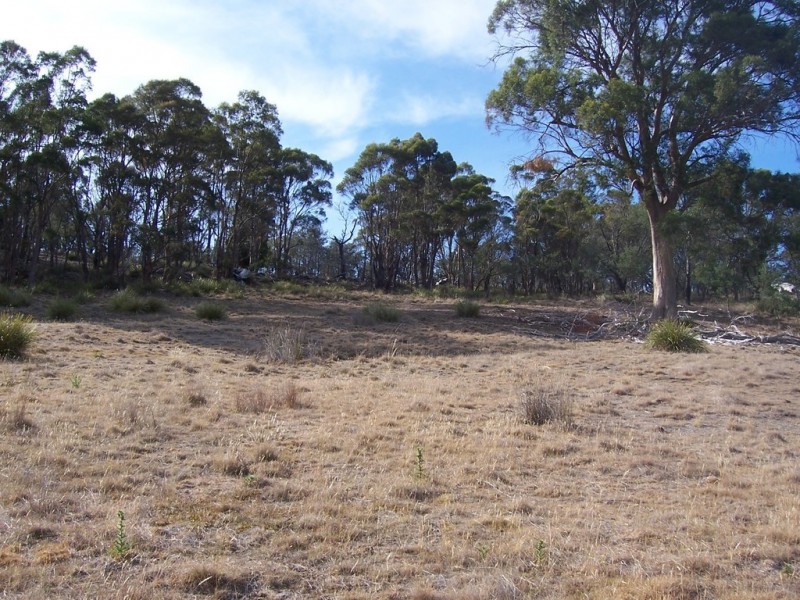 00 Collins Cap Road, Molesworth TAS 7140