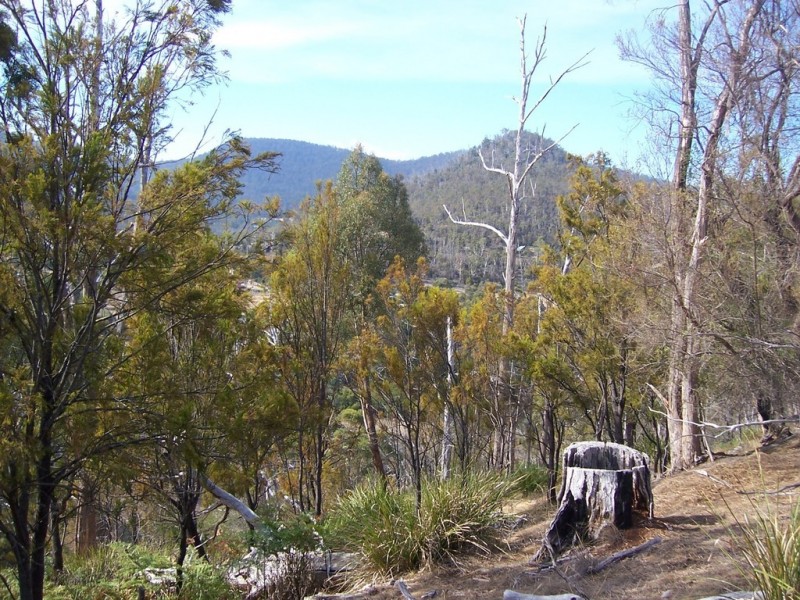 00 Collins Cap Road, Molesworth TAS 7140