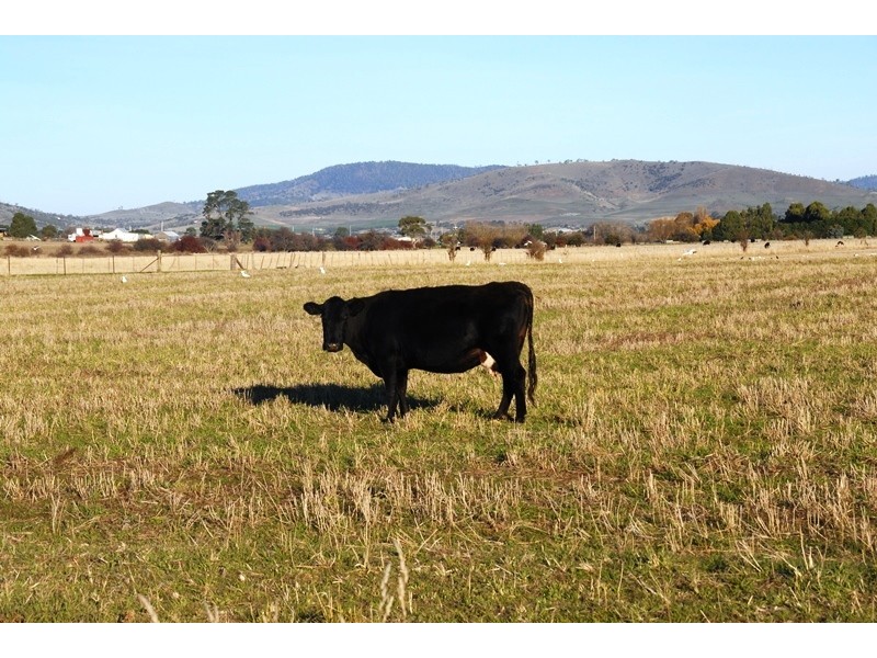 72 Goodwins Road, Mangalore TAS 7030