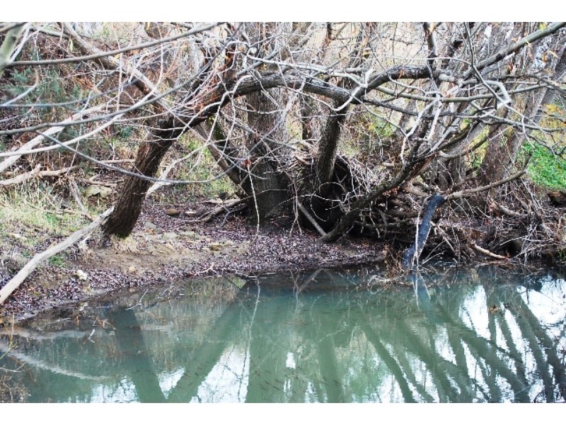 72 Goodwins Road, Mangalore TAS 7030