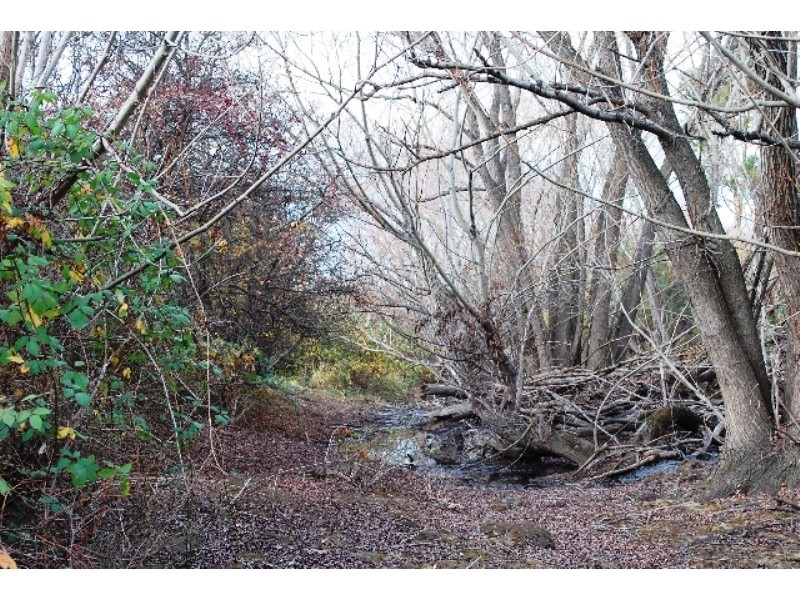 72 Goodwins Road, Mangalore TAS 7030