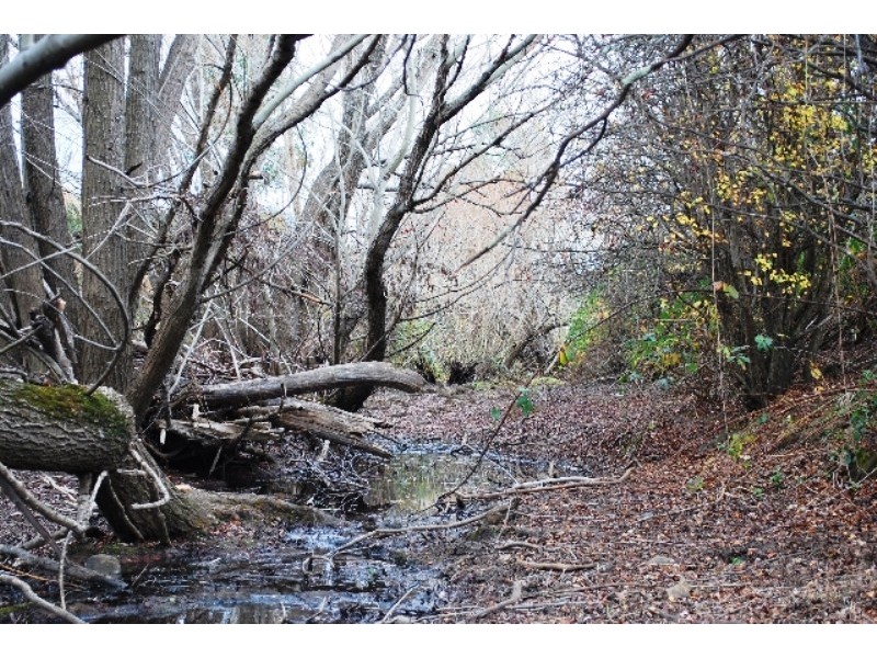 72 Goodwins Road, Mangalore TAS 7030