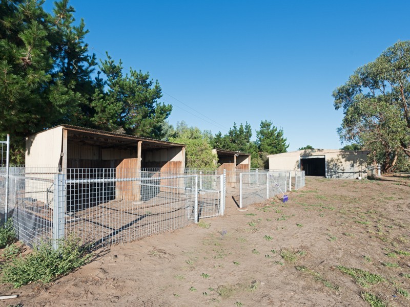 77 Cartwright Street, Brighton TAS 7030