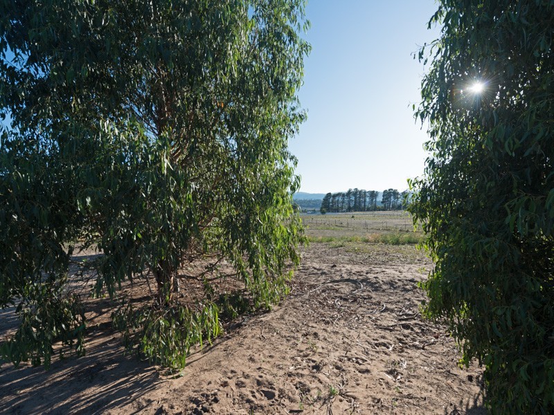 77 Cartwright Street, Brighton TAS 7030