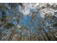 Lot 5 Cousens Road, Glenlusk TAS 7012