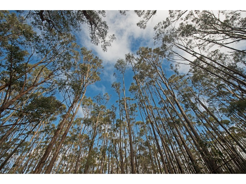 Lot 5 Cousens Road, Glenlusk TAS 7012