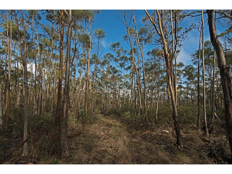 Lot 5 Cousens Road, Glenlusk TAS 7012