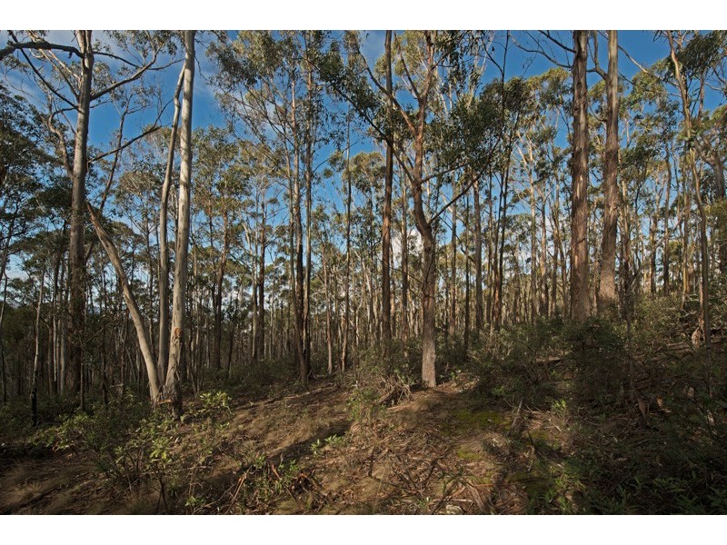 Lot 5 Cousens Road, Glenlusk TAS 7012