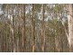 Lot 5 Cousens Road, Glenlusk TAS 7012