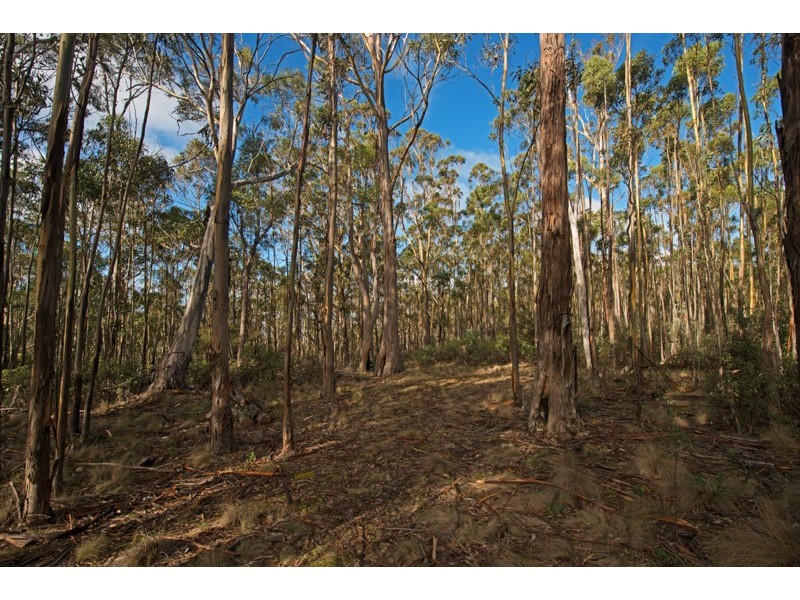 Lot 5 Cousens Road, Glenlusk TAS 7012
