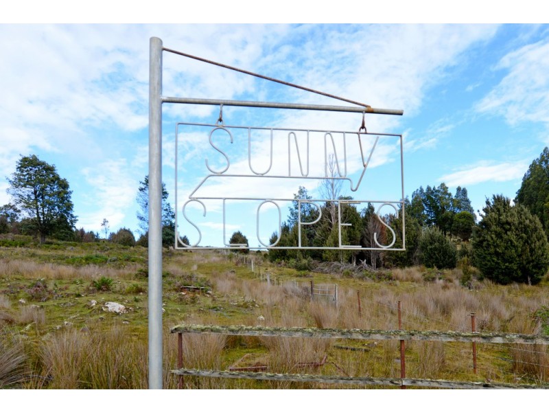 305 Rinadena Road, Moogara TAS 7140