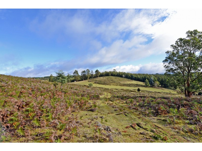 305 Rinadena Road, Moogara TAS 7140