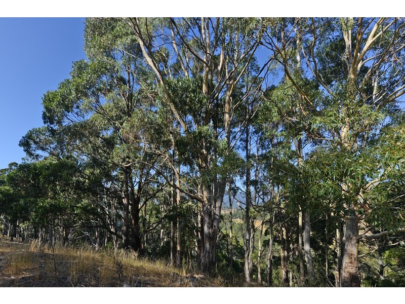 166 Faulkners Road, Glenlusk TAS 7012