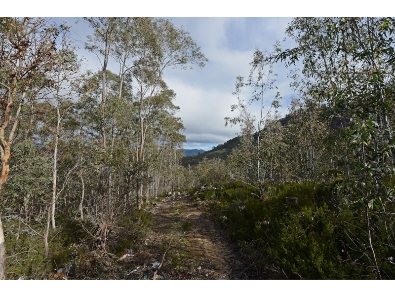 340 Cockerills Road, Boyer TAS 7140