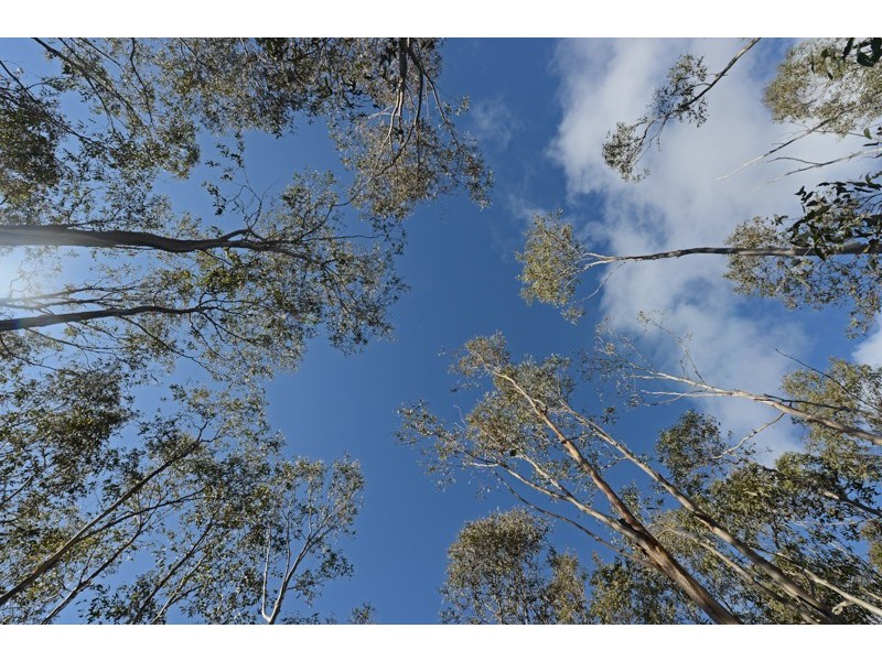 340 Cockerills Road, Boyer TAS 7140