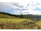 305 Rinadena Road, Moogara TAS 7140