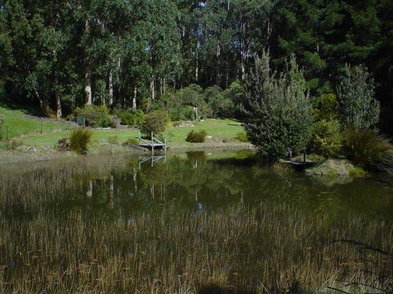 82 Narrows Road, Strathblane TAS 7109