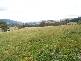 Lot 1 Cross Road, Lucaston TAS 7109