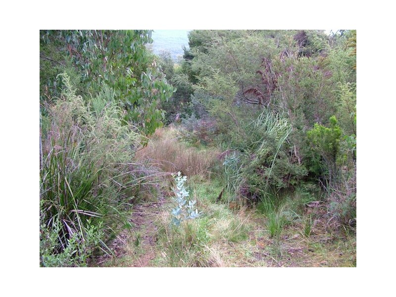 6 Francis Lane, Adventure Bay TAS 7150