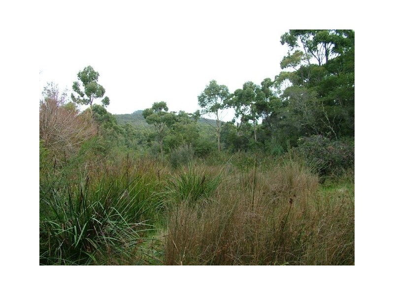 6 Francis Lane, Adventure Bay TAS 7150