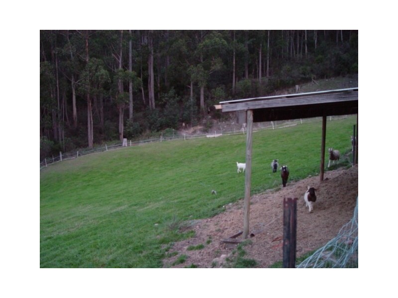169 Pelverata Road, Sandfly TAS 7150