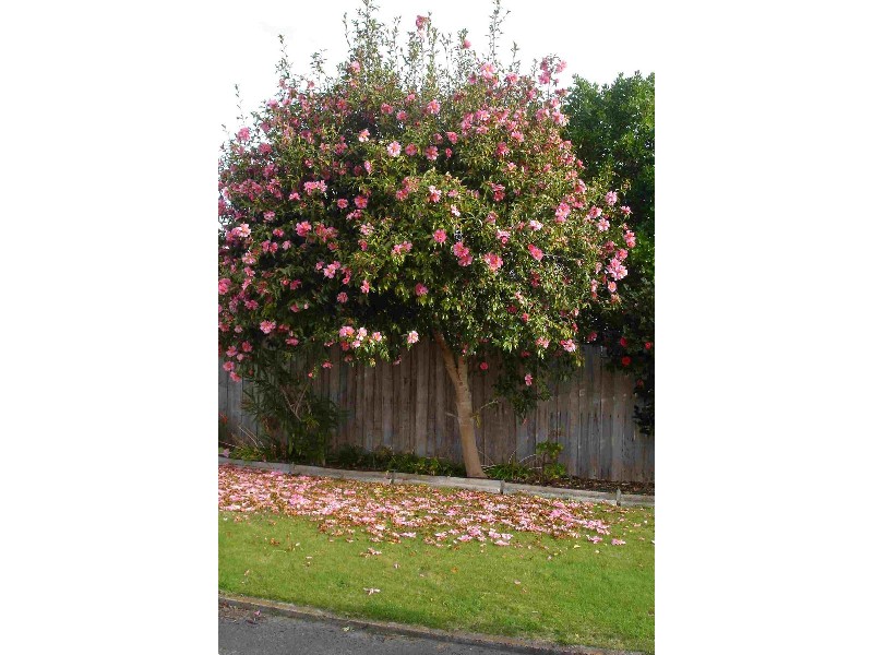 75 Channel Highway, Kingston TAS 7050