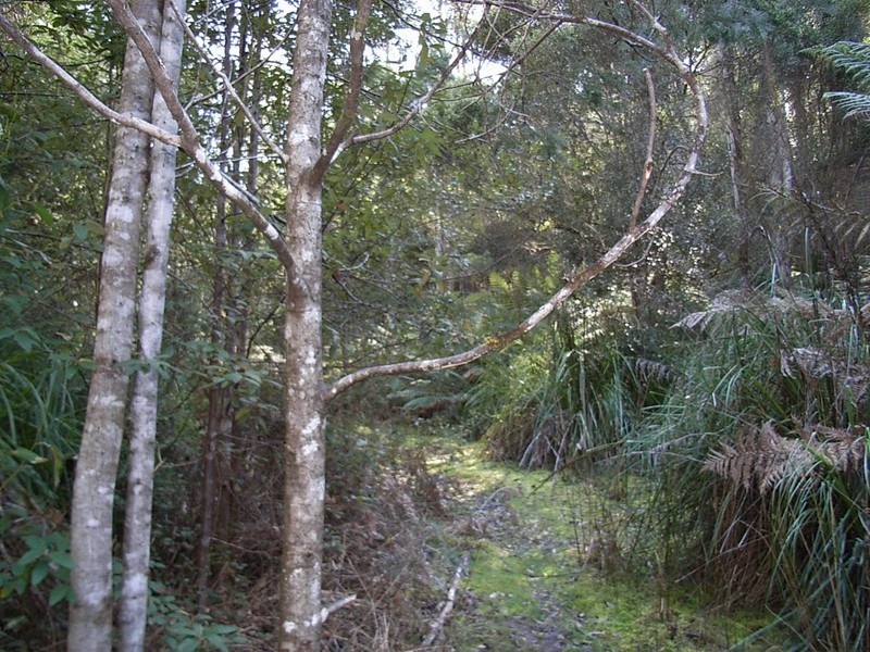 - Nicholls Rivulet Road, Nicholls Rivulet TAS 7112