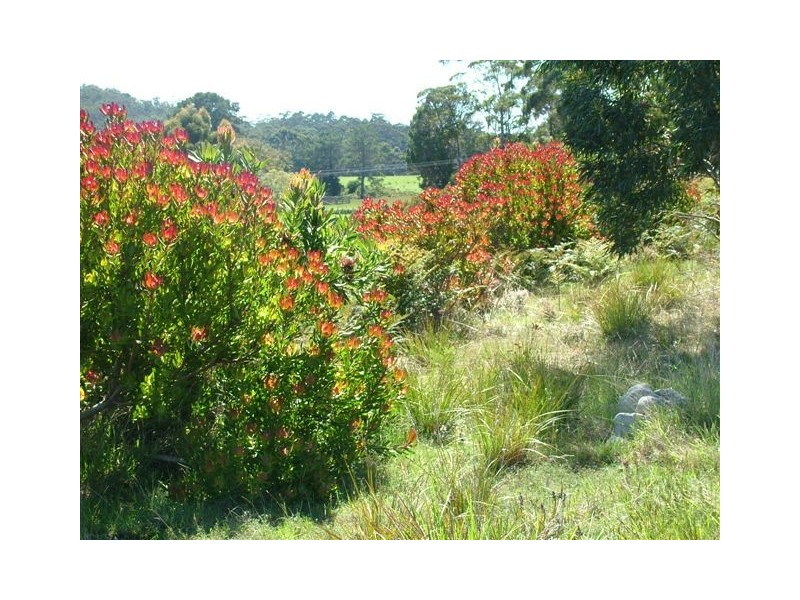 4336 Main Road, Bruny Island TAS 7150