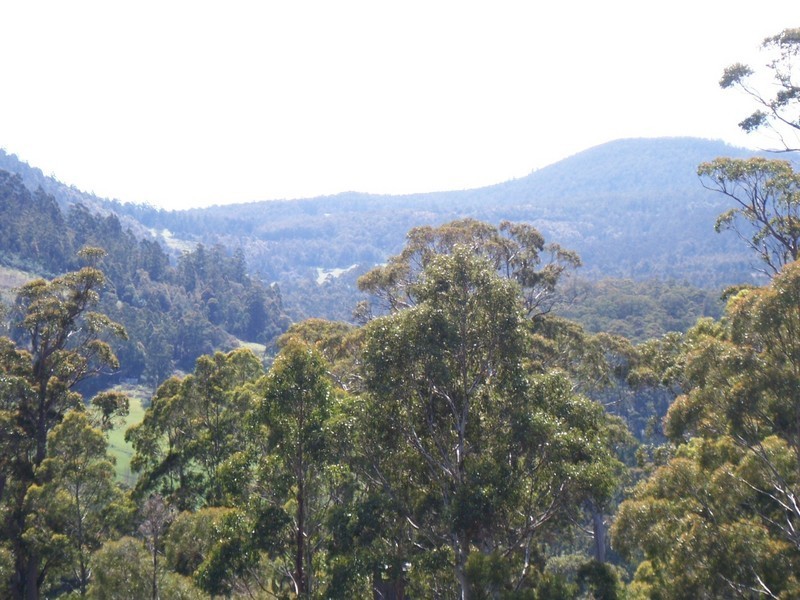 1337 Pelverata Road, Pelverata TAS 7150