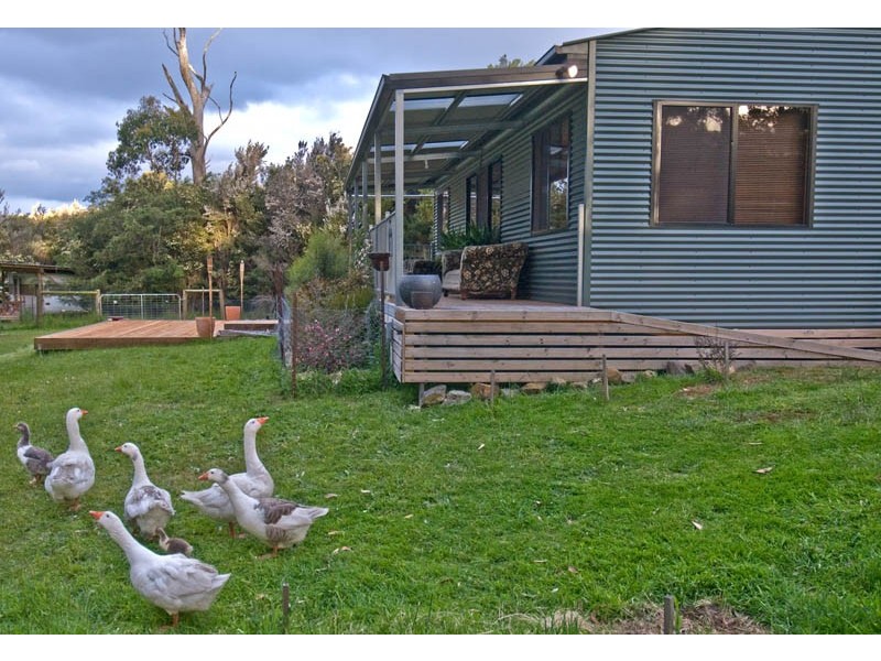Bruny Island TAS 7150