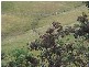 - Main Road, Glendevie TAS 7109
