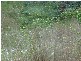 - Main Road, Glendevie TAS 7109