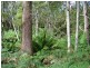 Bruny Island TAS 7150