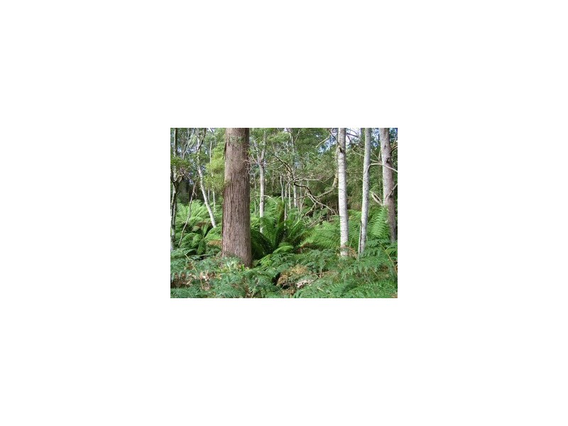 Bruny Island TAS 7150