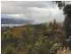 Bruny Island TAS 7150