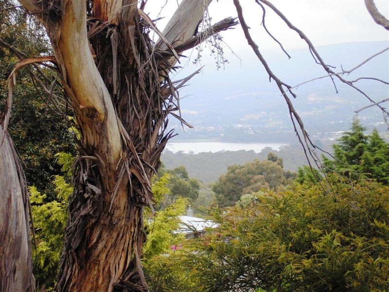 216 Redwood Road, Kingston TAS 7050