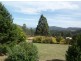 149 Umfrevilles Road, Kaoota TAS 7150