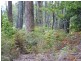 Bruny Island TAS 7150