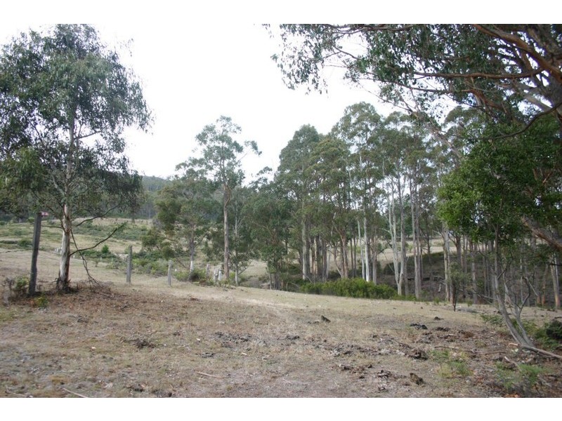 269 Woolleys Road, Lonnavale TAS 7109