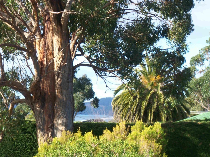 4 Charlton Street, Snug TAS 7054