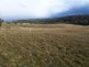 Bruny Island TAS 7150