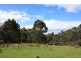 Strathblane TAS 7109