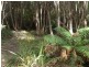 Strathblane TAS 7109