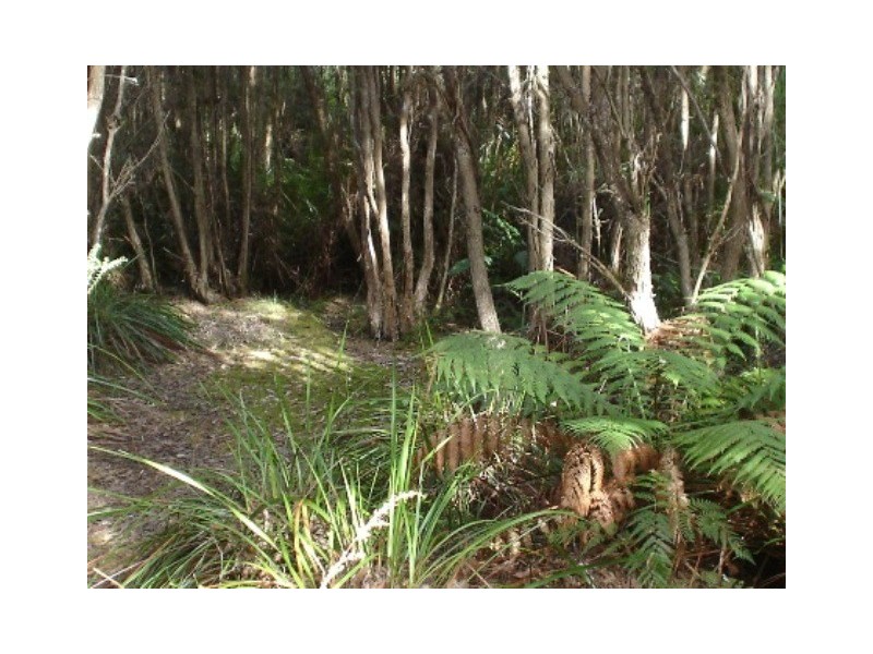 Strathblane TAS 7109