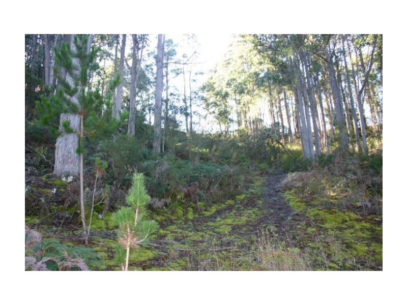 99 Voss Road, Huonville TAS 7109