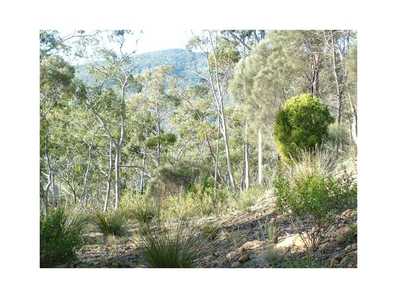 Bruny Island TAS 7150