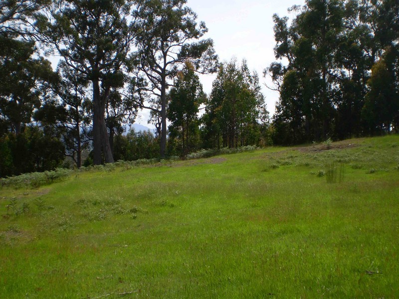 Glen Huon TAS 7109