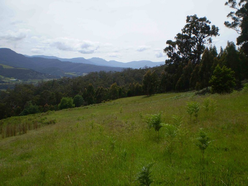 Glen Huon TAS 7109